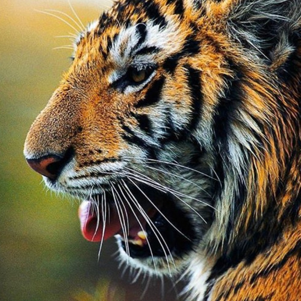 Meet your Posher, Luke